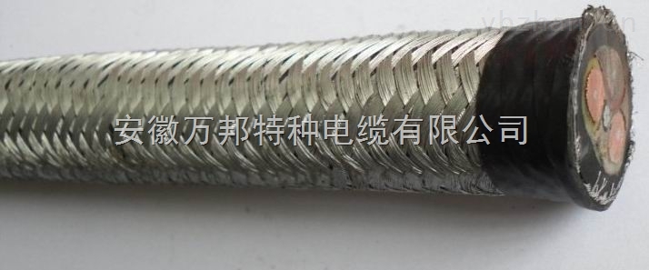 硅橡胶电缆YGC32-1*240