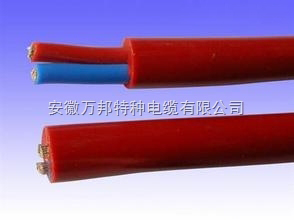 硅橡胶软电缆JGGR-2*25