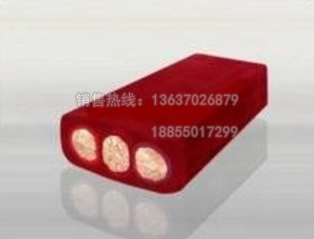 YFGB-(A)F46R YFGB-(A)F46RP硅橡胶扁平电缆