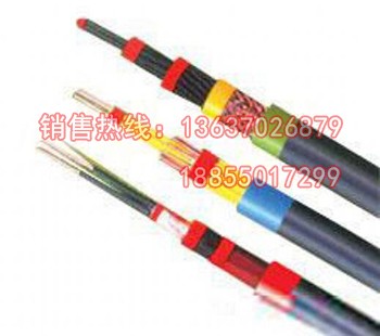 NH-VV  NH-VV22耐火低压电力电缆