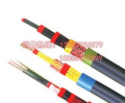 KFF22氟塑料耐高温控制电缆