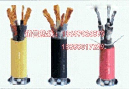 FF46P氟塑料耐高温电力电缆