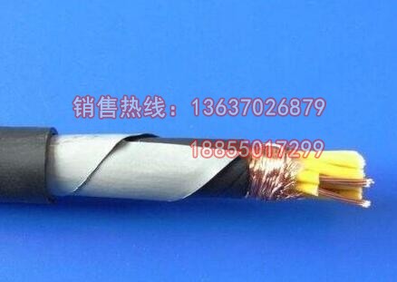 （ZR）-FG22 （ZR）-FV22耐温铠装电缆