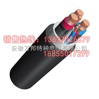 FF FFR FGR FV额定电压0.6/1kV氟塑料绝缘耐高温电力电缆