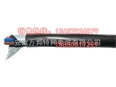 FF22高温铠装电缆*ZR-FFRP耐高温电缆