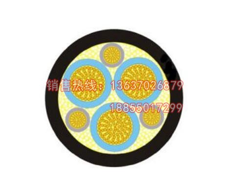 BPGVFPP2双屏蔽变频电缆
