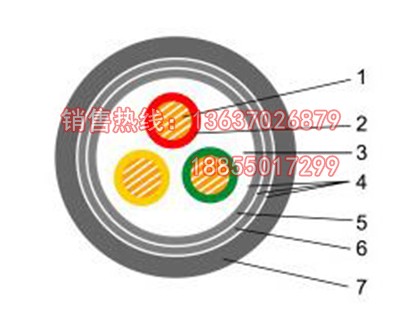 BPTVVPP2屏蔽变频电缆