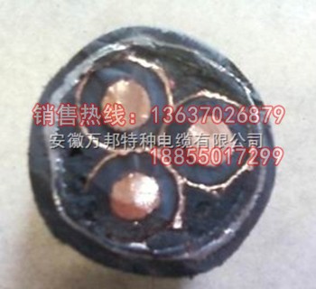 BPFFP  BPGGP变频器专用电缆