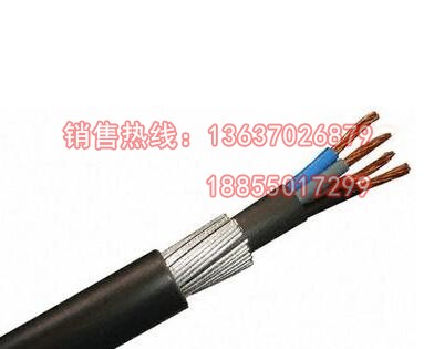 KFGP25 铠装硅橡胶电缆