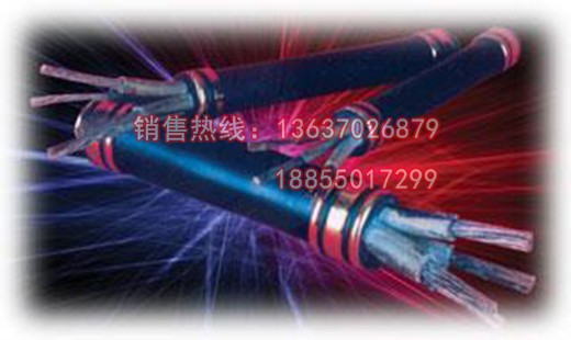 耐火电力电缆NH-FF,NH-FF22