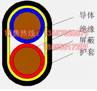 屏蔽补偿导线