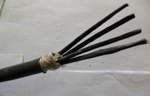 HWTZDL电缆