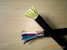 DJGPVFP硅橡胶计算机电缆