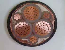 变频电缆BPGVFP BPGVFP2 BPGVFPP2